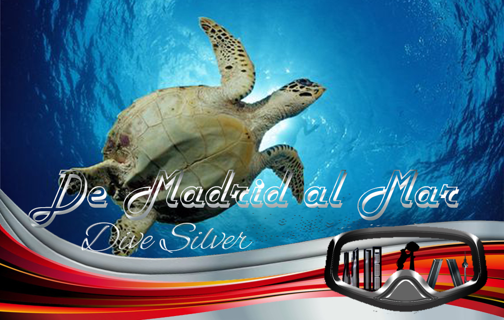 dive silver dive silver
