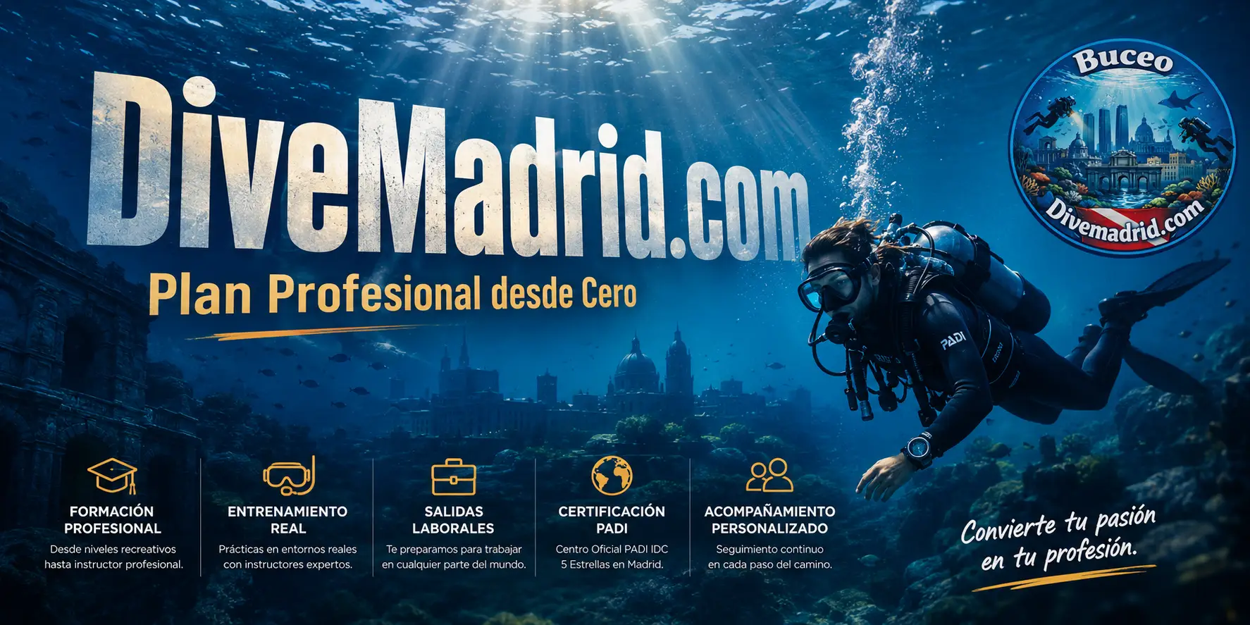 plan profesional