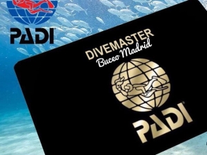 padi oficial