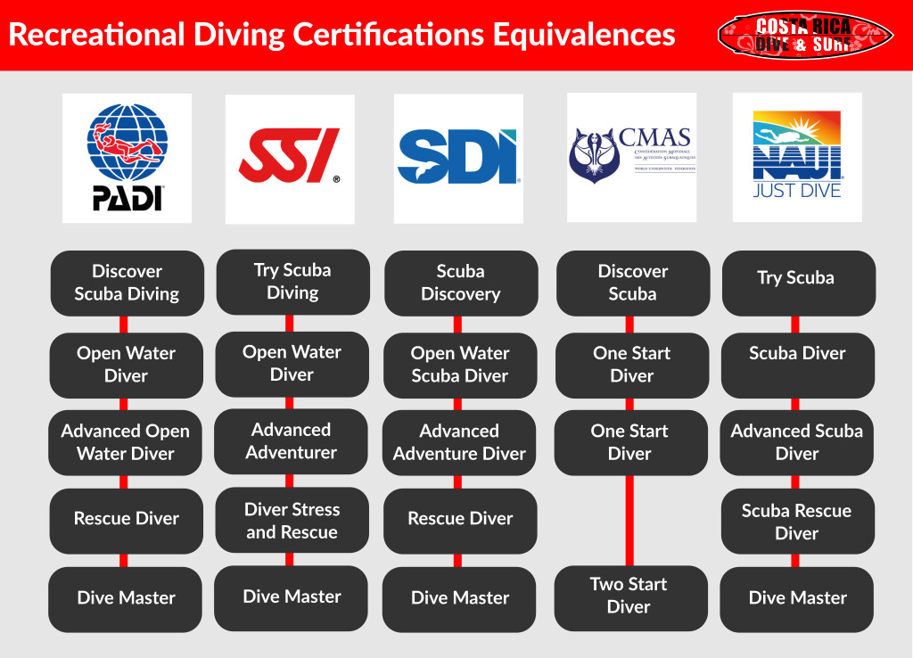 organizaciones-buceo-certificadoras.jpg