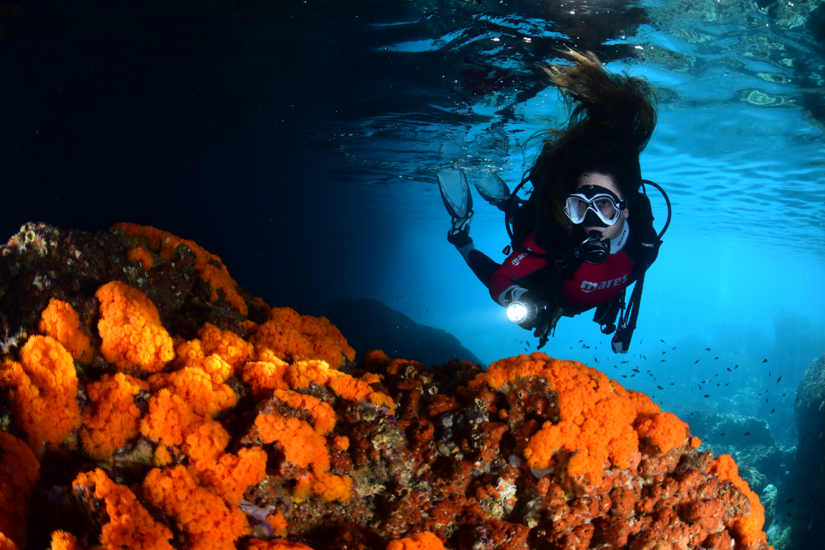 portada-bautismo-buceo-la-herradura